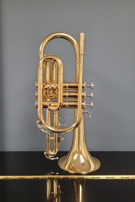 Holton Cornet 2